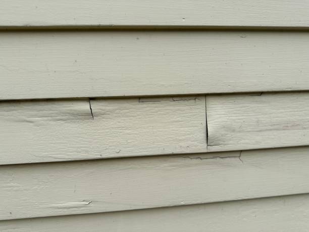 Best Custom Siding Design  in Santa Clara, NM